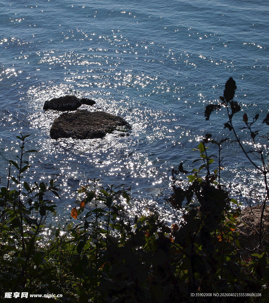 海边礁石与岸边绿植景观