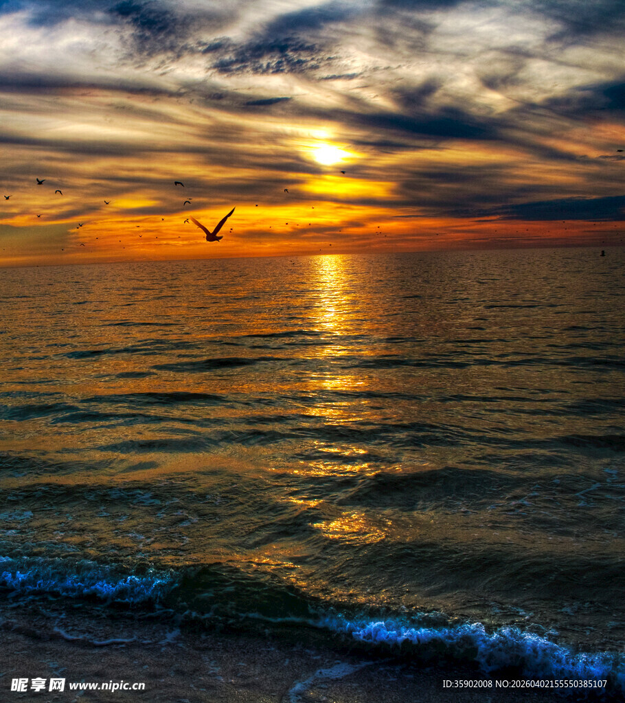海上日落美景飞鸟相伴