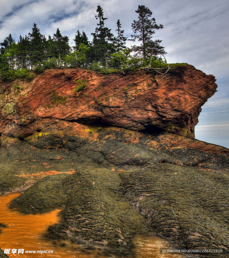海岸红崖与岸边绿植景观