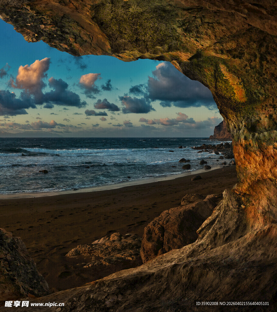 海边树洞外的美丽景致