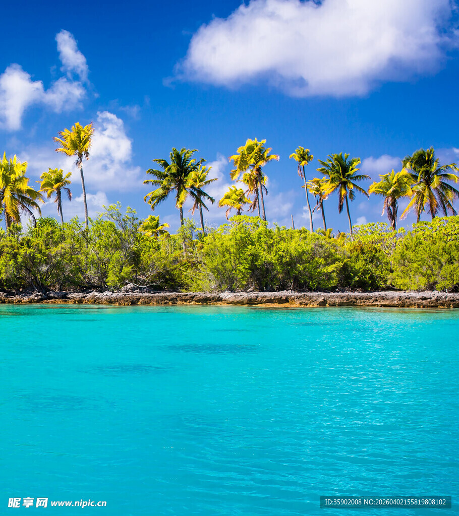 热带海岛碧蓝海水与椰林