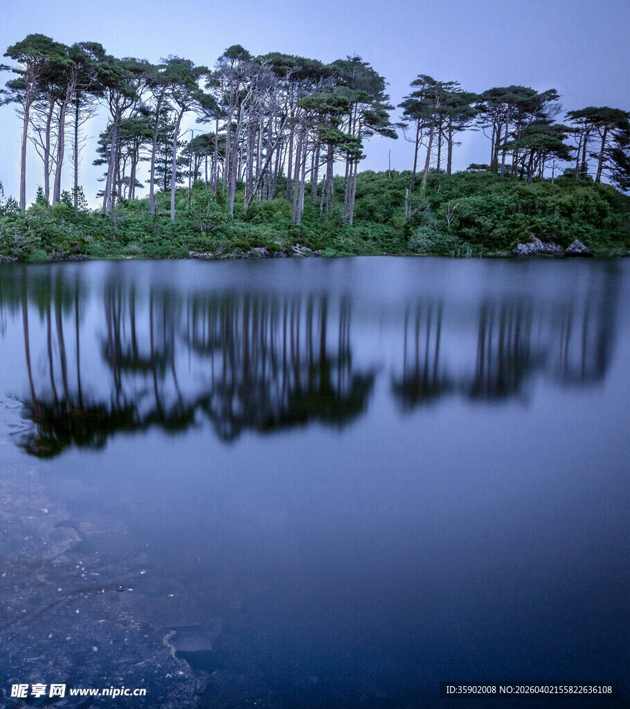 宁静湖畔松树林倒影美景