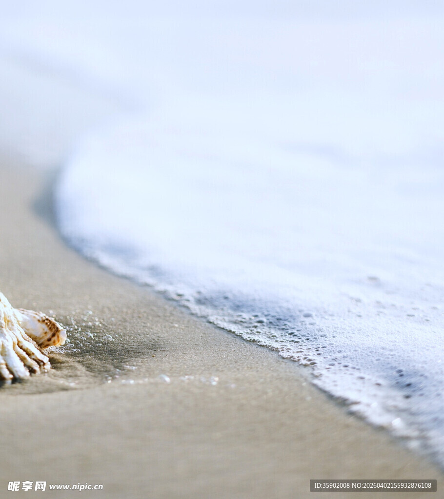 海边沙滩上的贝壳与海浪