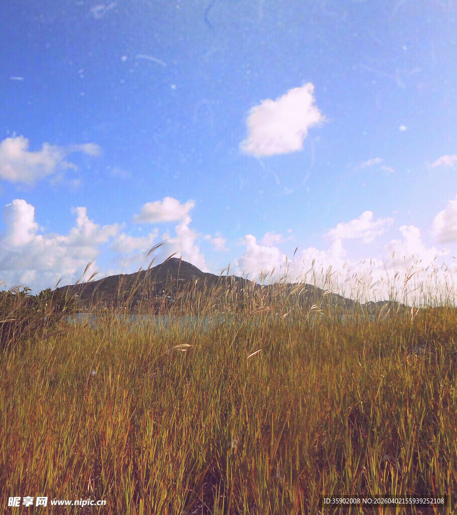 草原远山蓝天风景如画