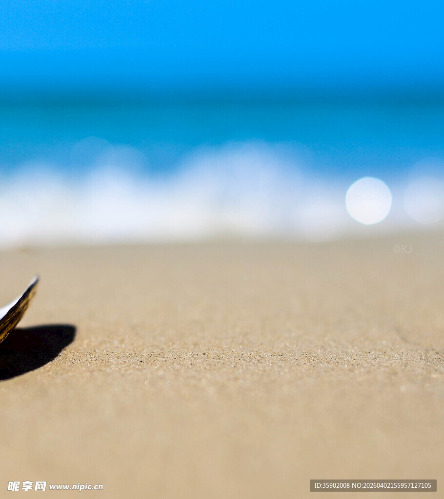 沙滩上的贝壳与蔚蓝海景