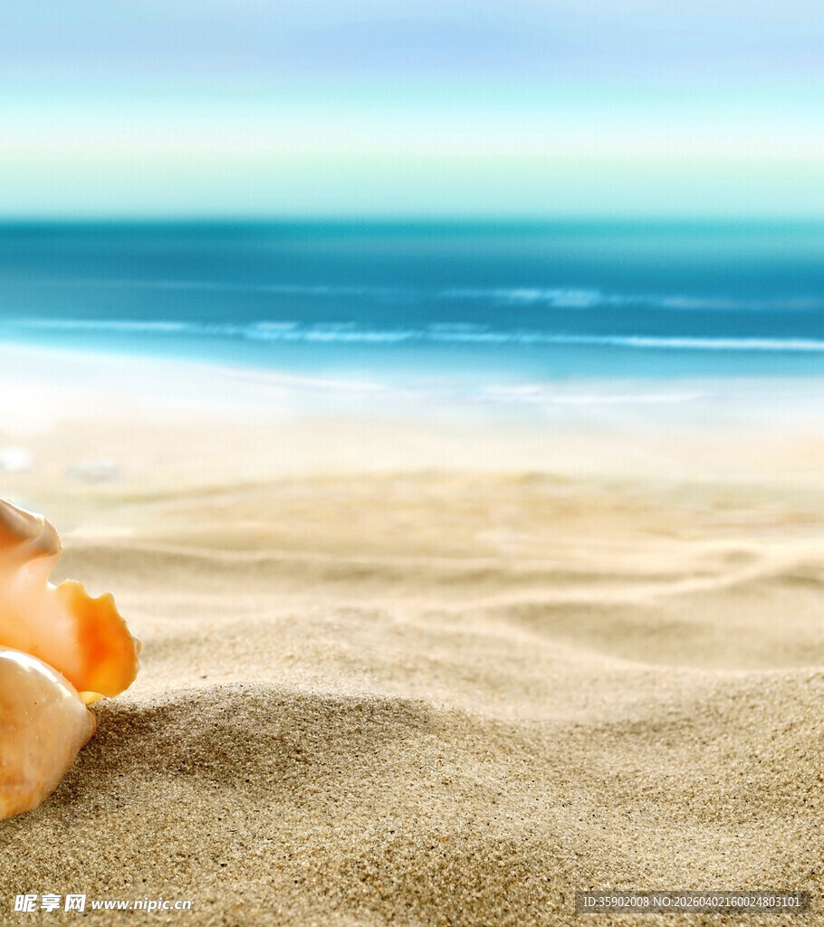 沙滩上的贝壳与蔚蓝大海