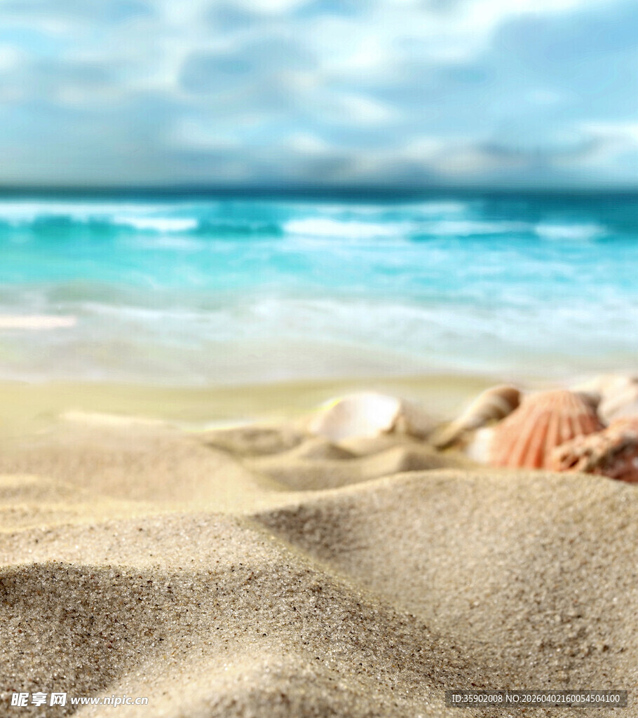 沙滩贝壳与蔚蓝大海美景