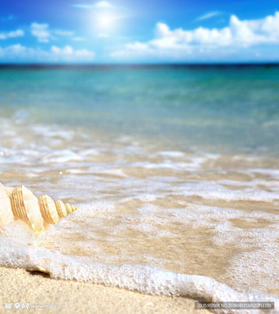 海边美景海浪与贝壳相伴