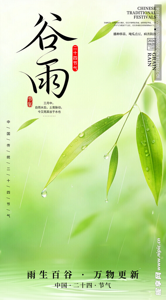 谷雨时节翠叶清新图景