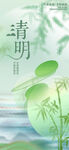 清明时节 竹影摇曳