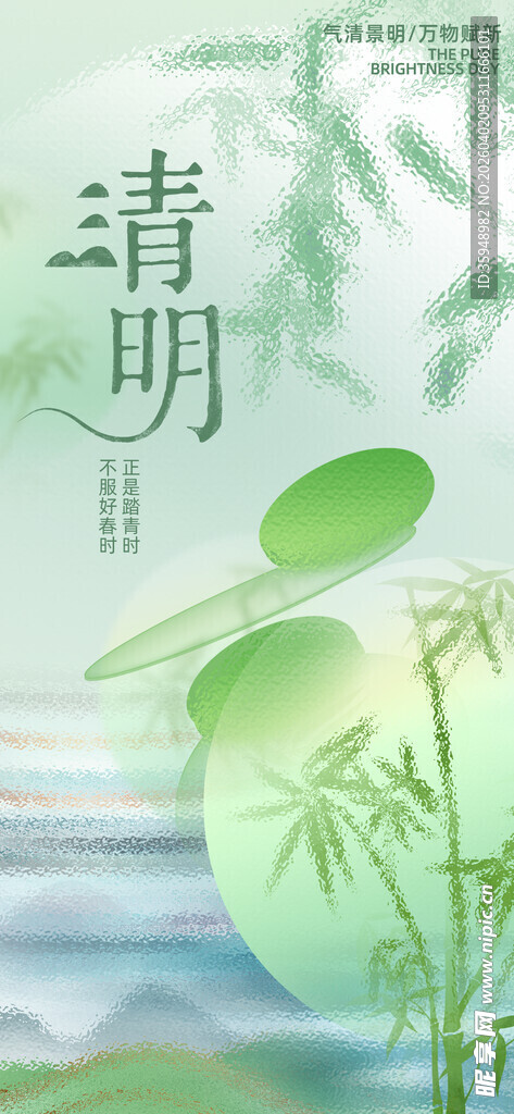 清明时节 竹影摇曳