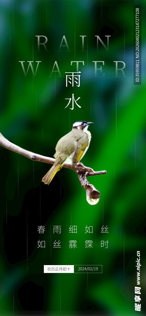 枝头栖息的小鸟