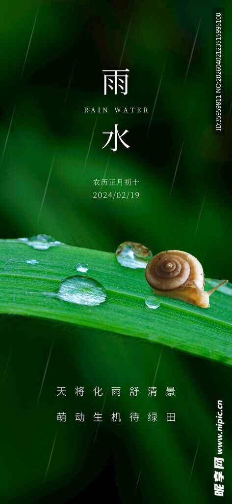 露珠卧绿叶蜗牛享静谧