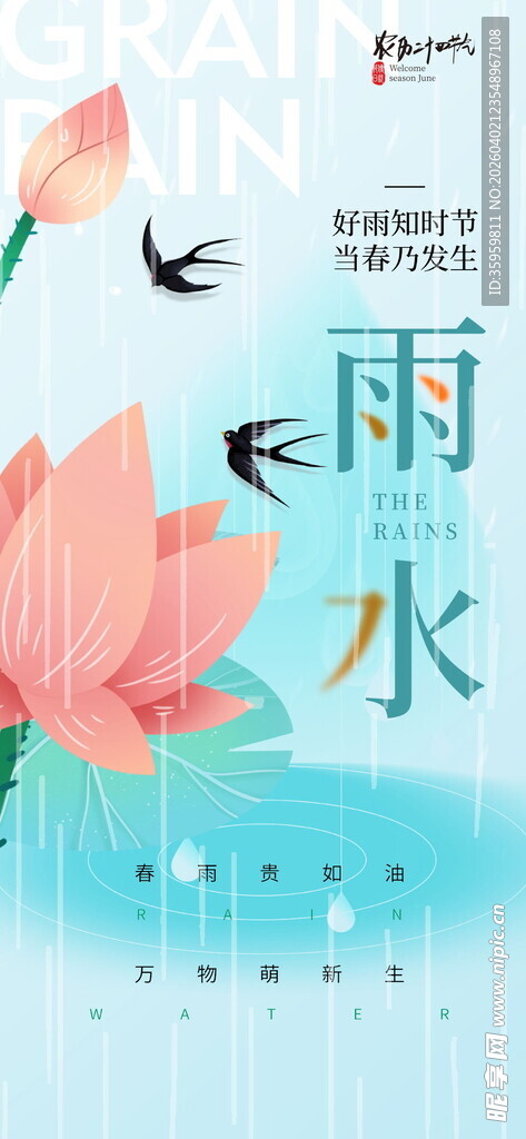 水墨荷花雨水意境插画