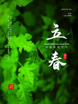 立春时节绿意盎然画面