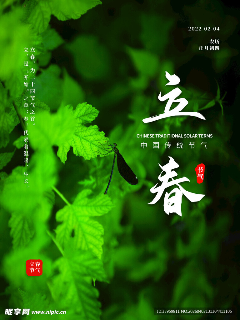 立春时节绿意盎然画面