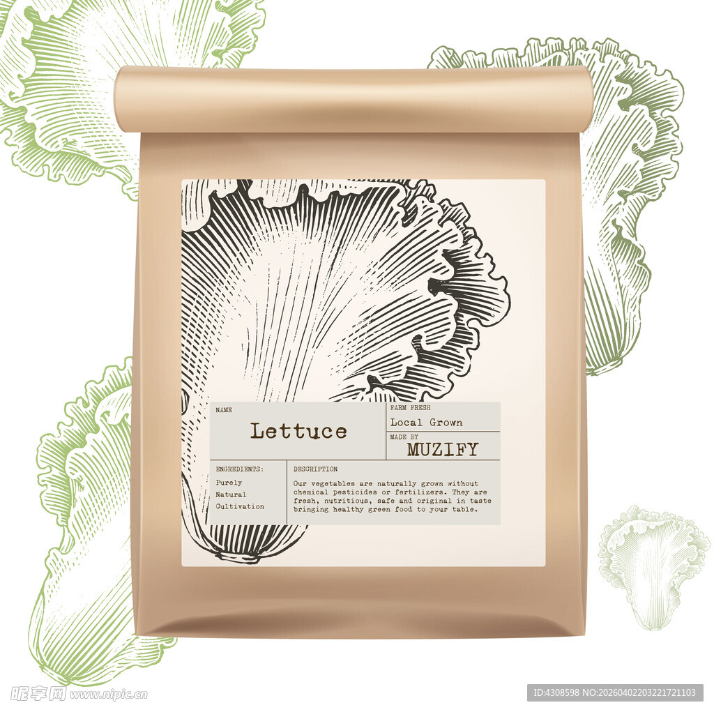 蔬菜包装设计 生菜