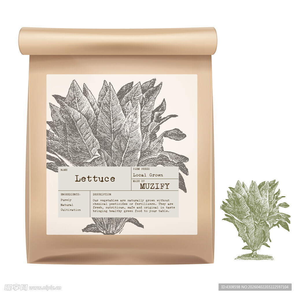 蔬菜包装设计 生菜