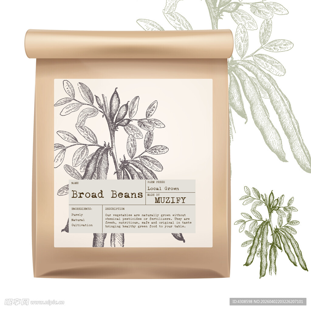 蔬菜包装设计 蚕豆