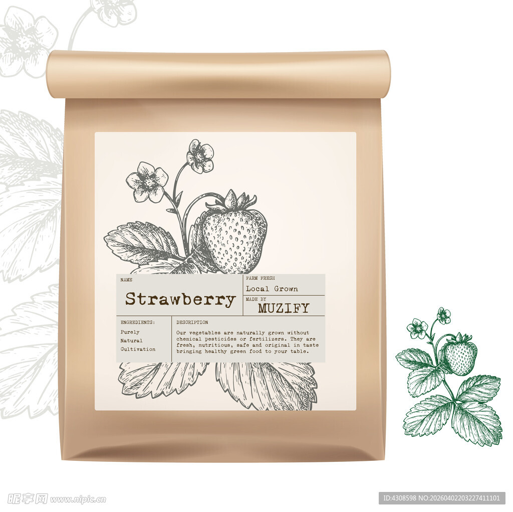 水果包装设计 草莓