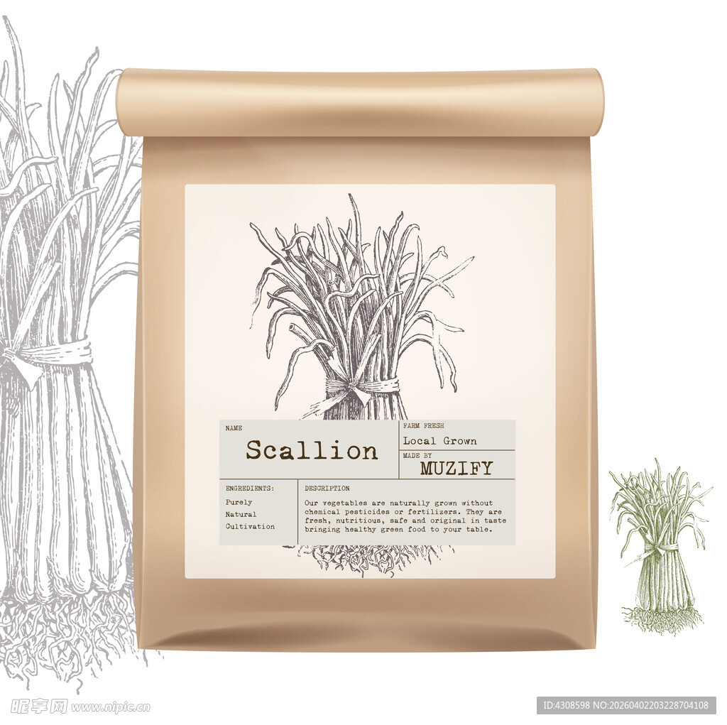 蔬菜包装设计 葱