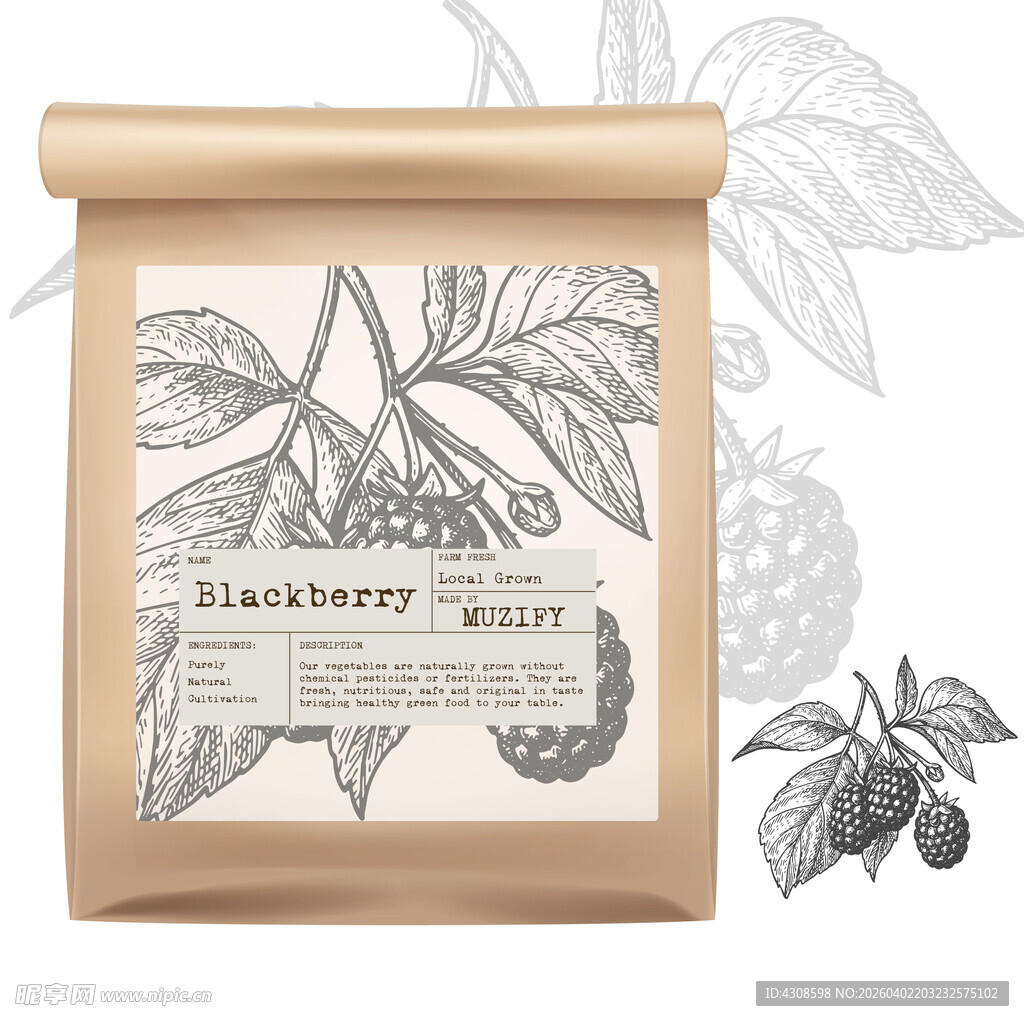 水果包装设计 黑莓