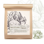 蔬菜包装设计 花椰菜