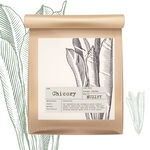 蔬菜包装设计 菊苣