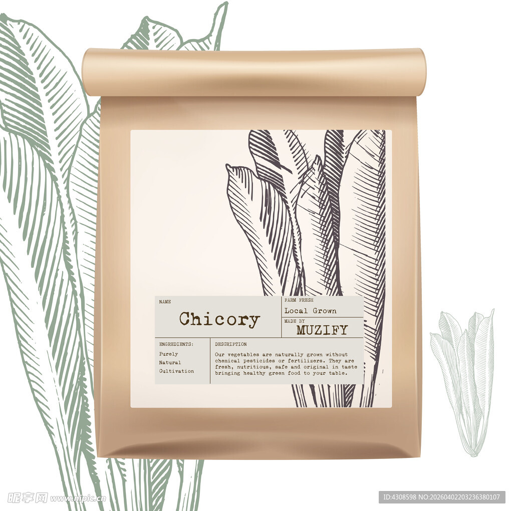 蔬菜包装设计 菊苣