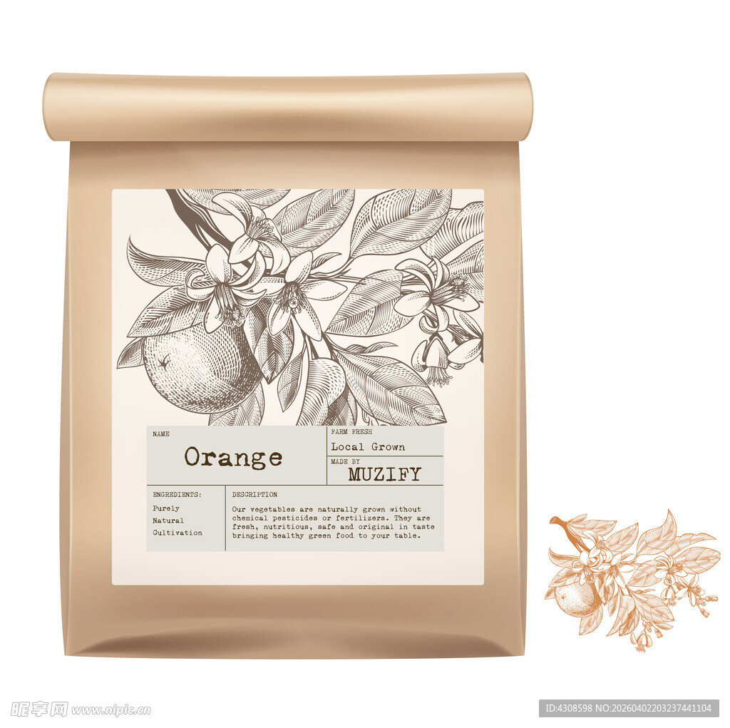 水果包装设计 橘子