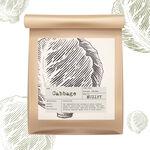 蔬菜包装设计 卷心菜