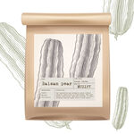 蔬菜包装设计 苦瓜