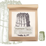 蔬菜包装设计 芦笋