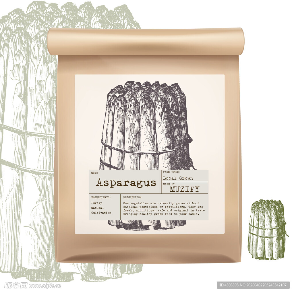 蔬菜包装设计 芦笋
