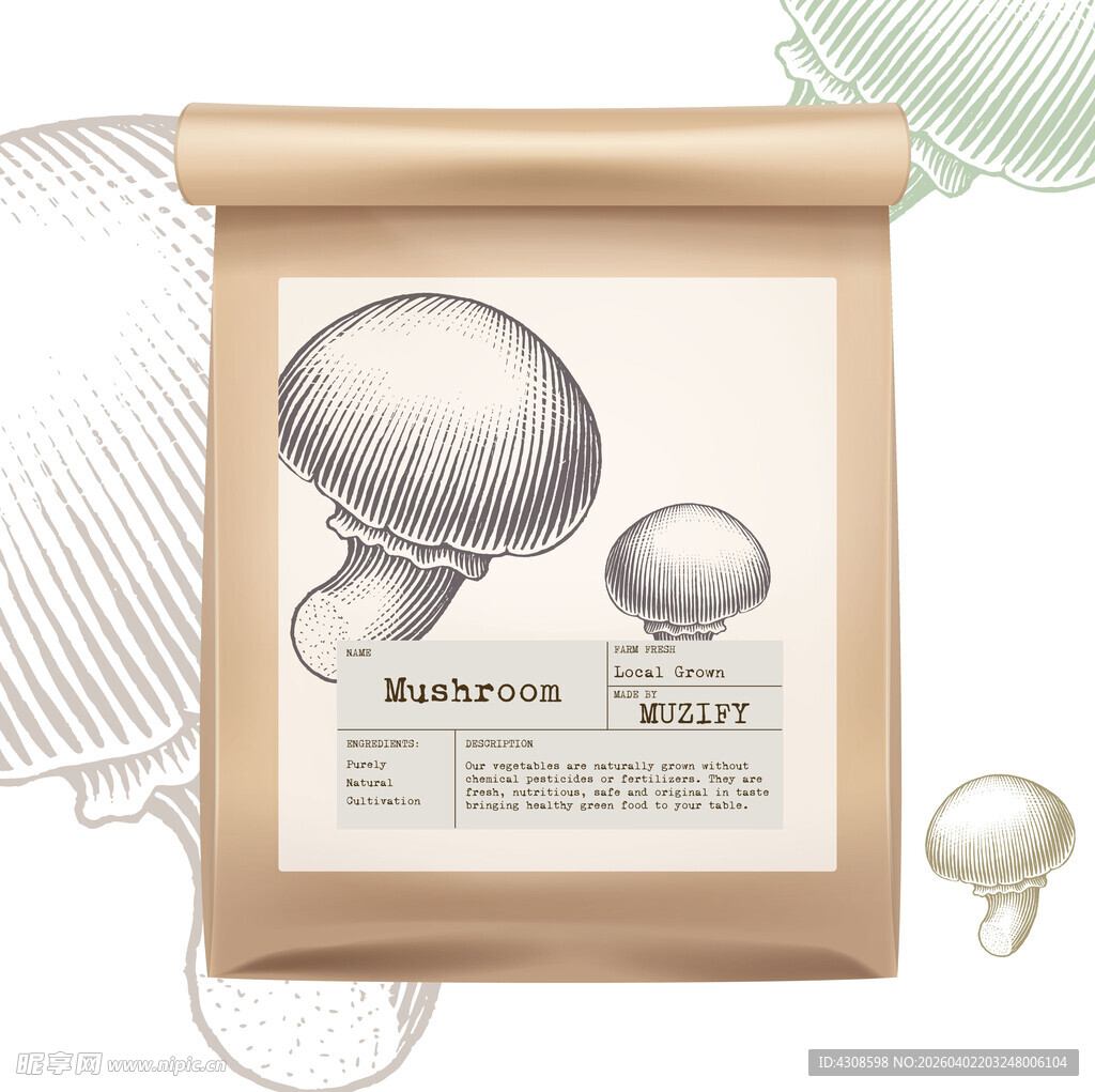 蔬菜包装设计 蘑菇