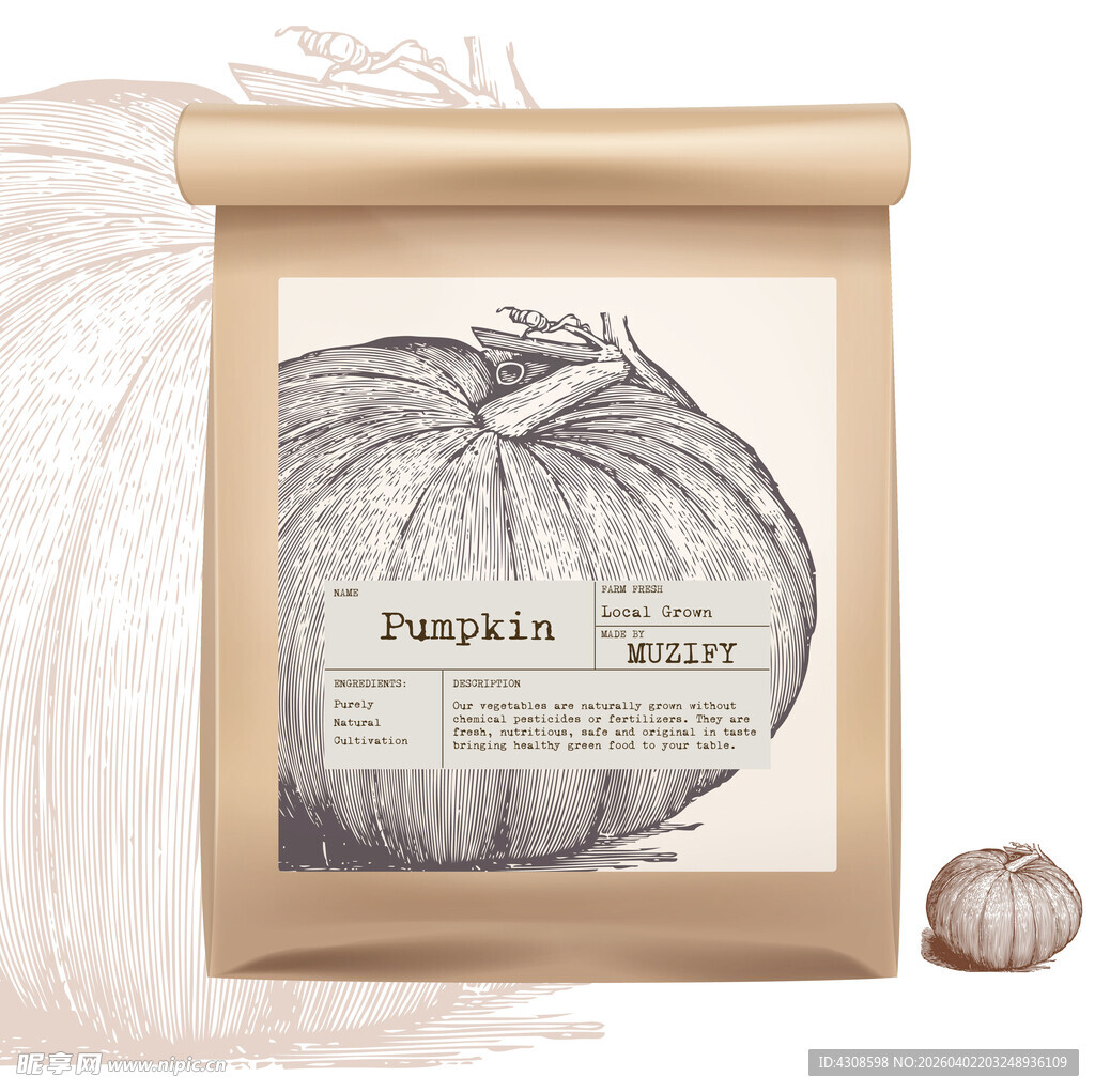 蔬菜包装设计 南瓜