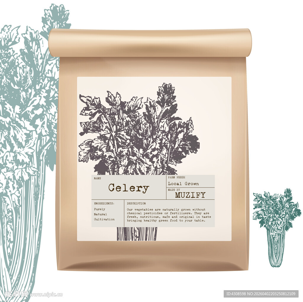 蔬菜包装设计 芹菜