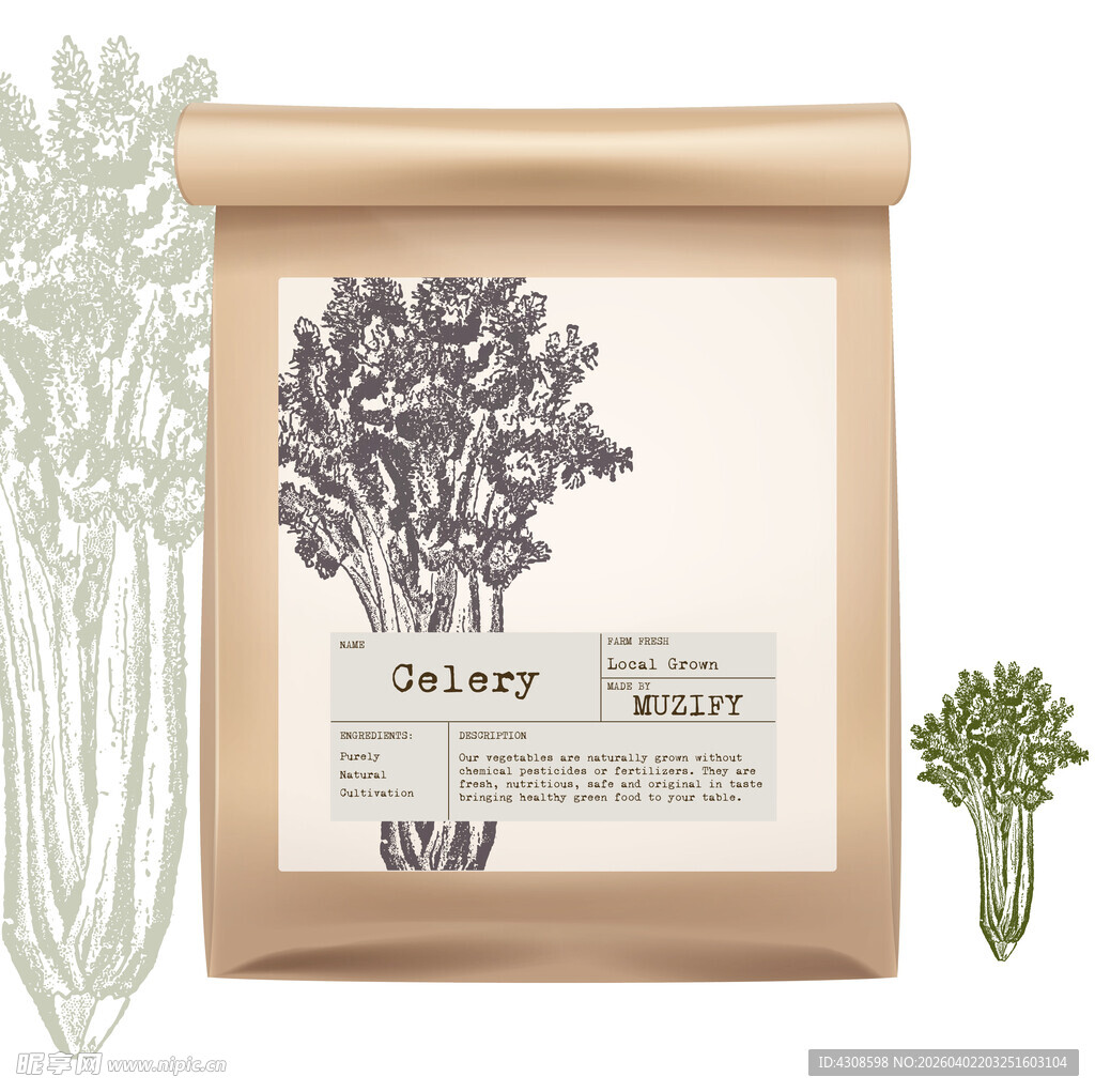 蔬菜包装设计 芹菜