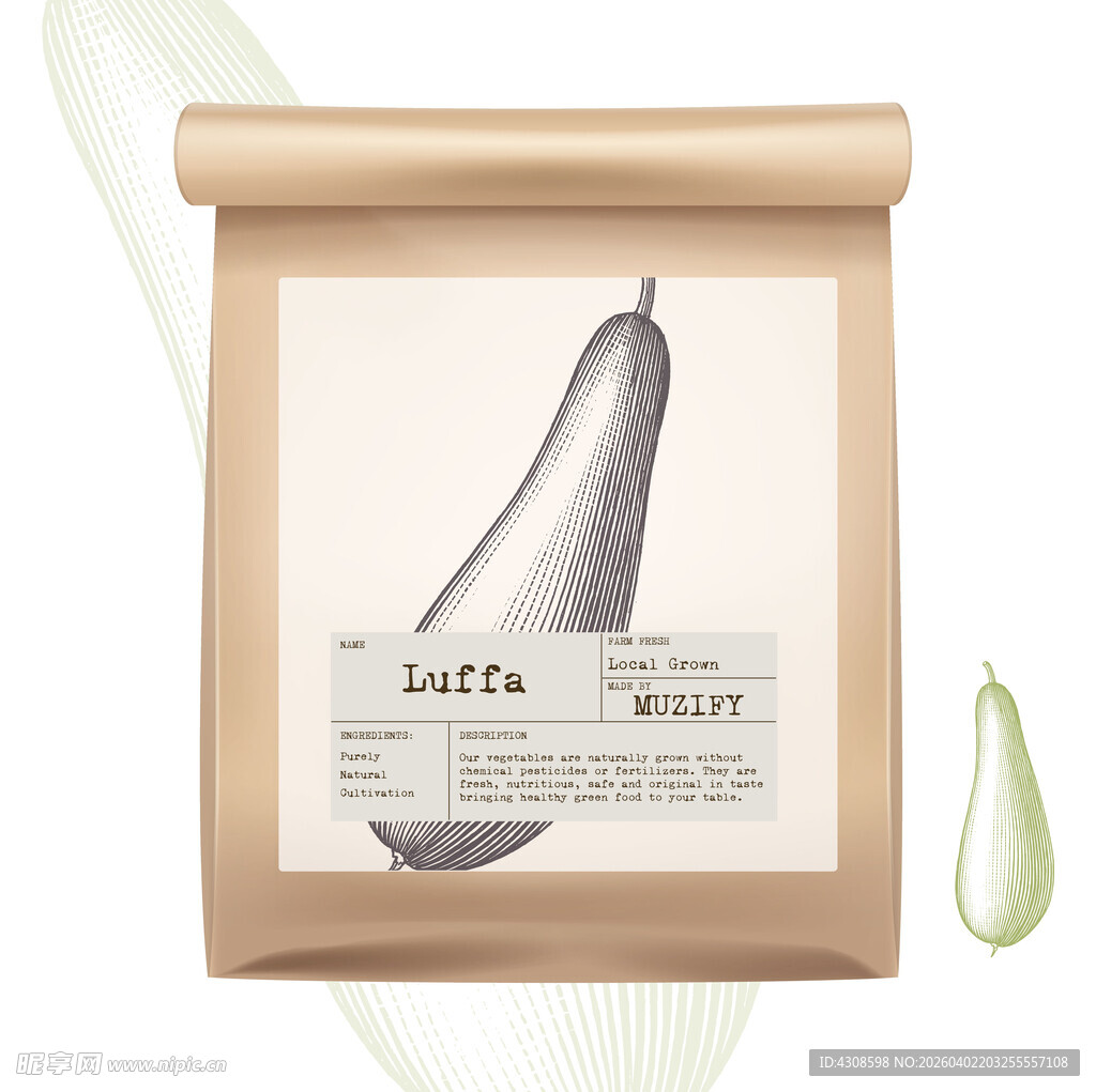 蔬菜包装设计 丝瓜