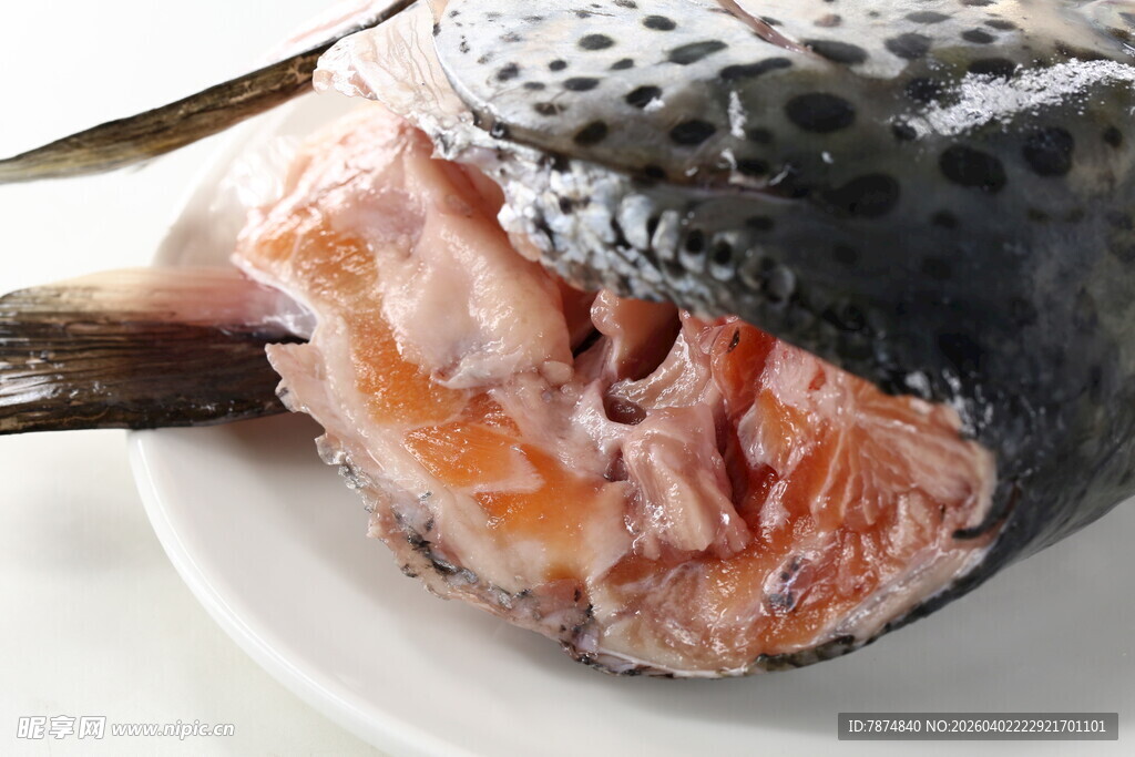 切开的新鲜三文鱼鱼头