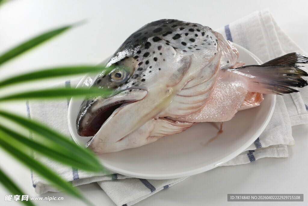 新鲜生鱼头置于盘中