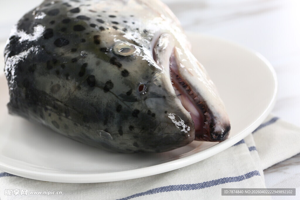 三文鱼鱼头置于白盘