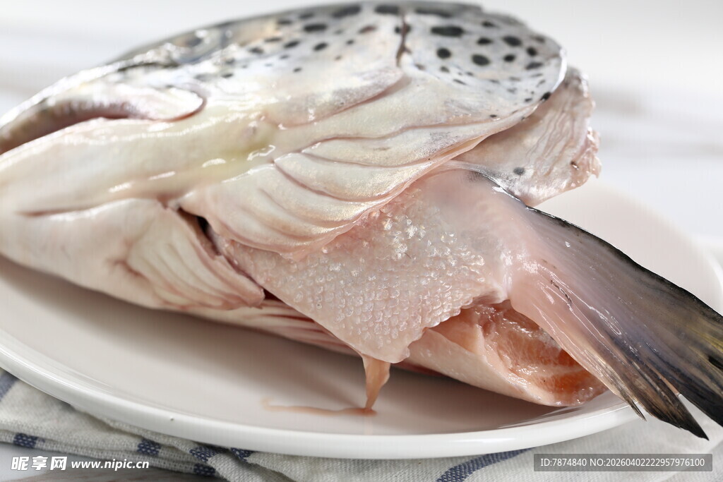 新鲜剖开展示的鱼肉