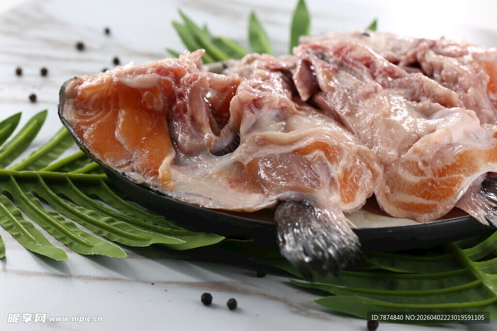 新鲜三文鱼鱼头摆盘展示