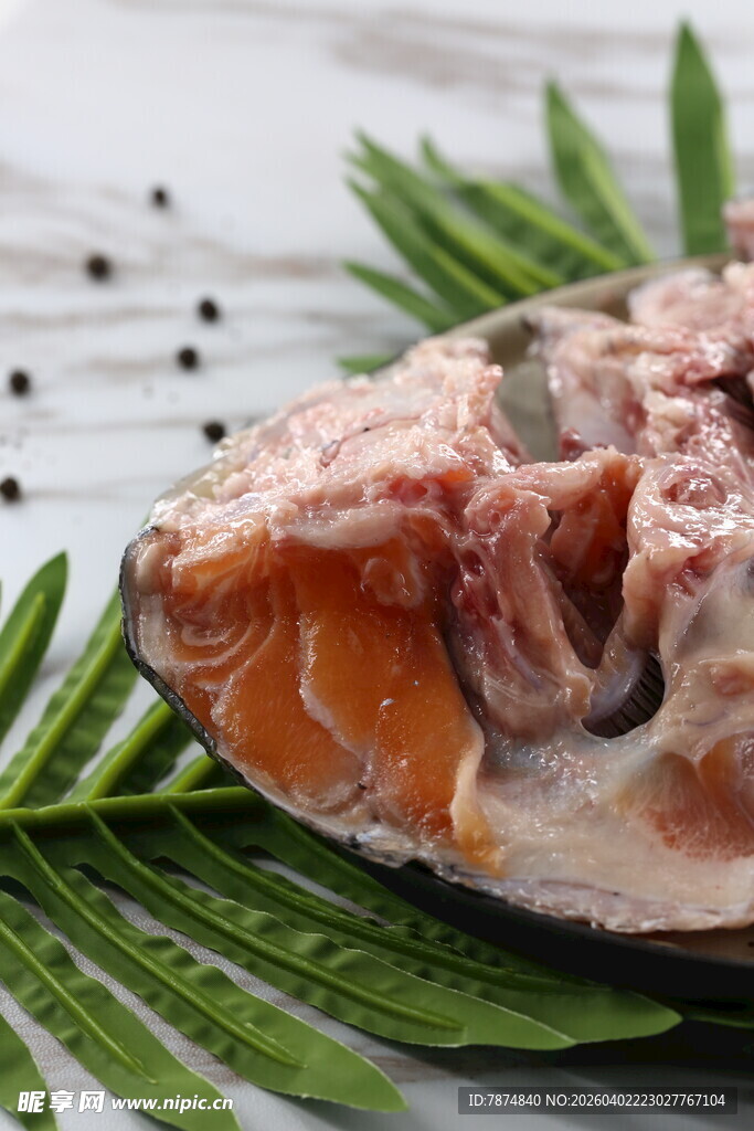 新鲜三文鱼鱼头摆拍