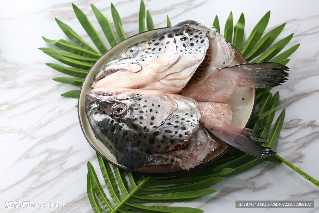 新鲜三文鱼鱼头摆放在绿叶上