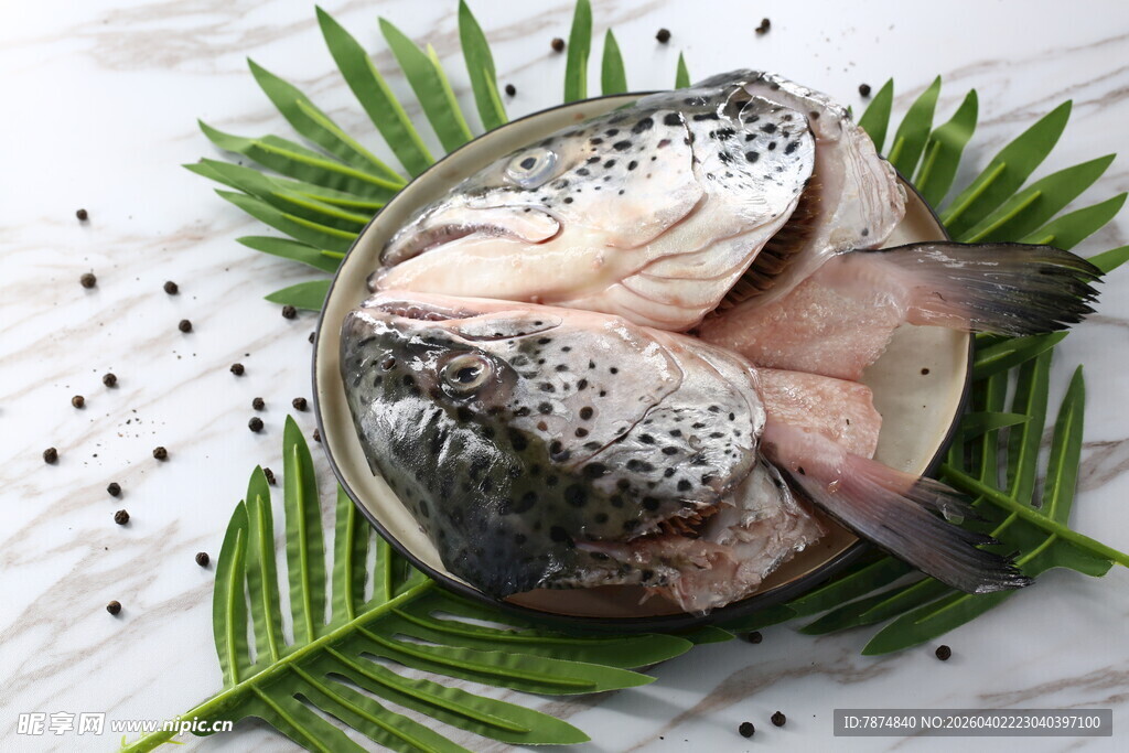 新鲜三文鱼鱼头摆盘装饰精美