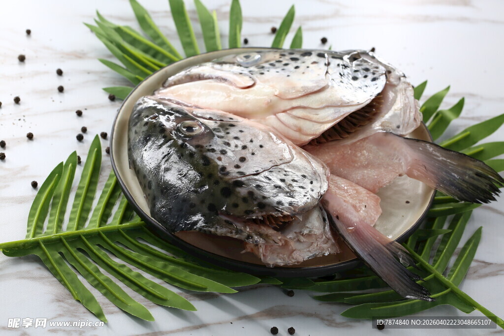 新鲜三文鱼鱼头搭配翠绿枝叶