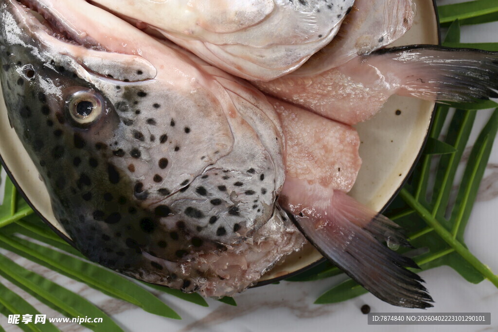 新鲜三文鱼鱼头摆放在绿叶上