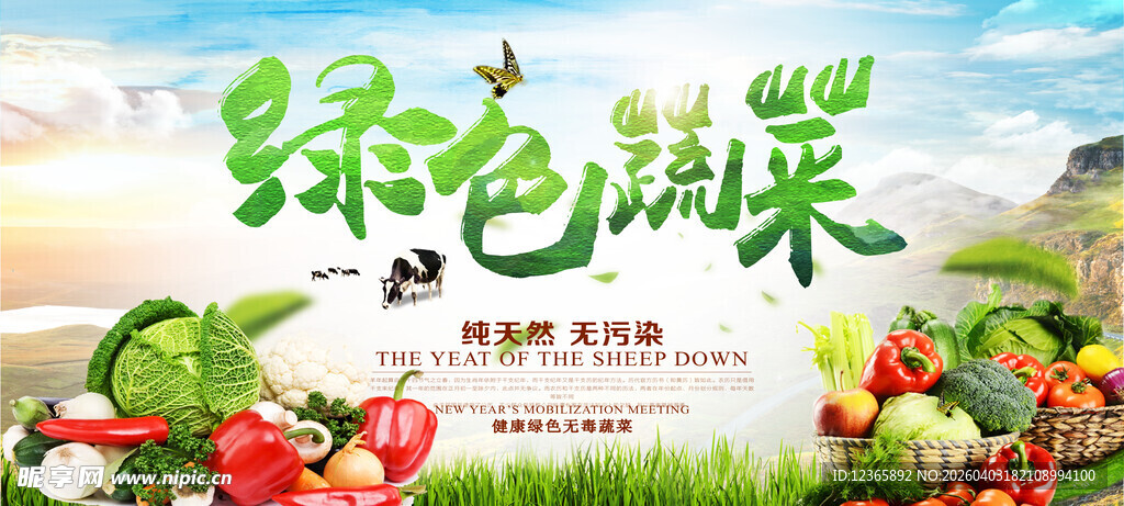 绿色蔬菜田园风光